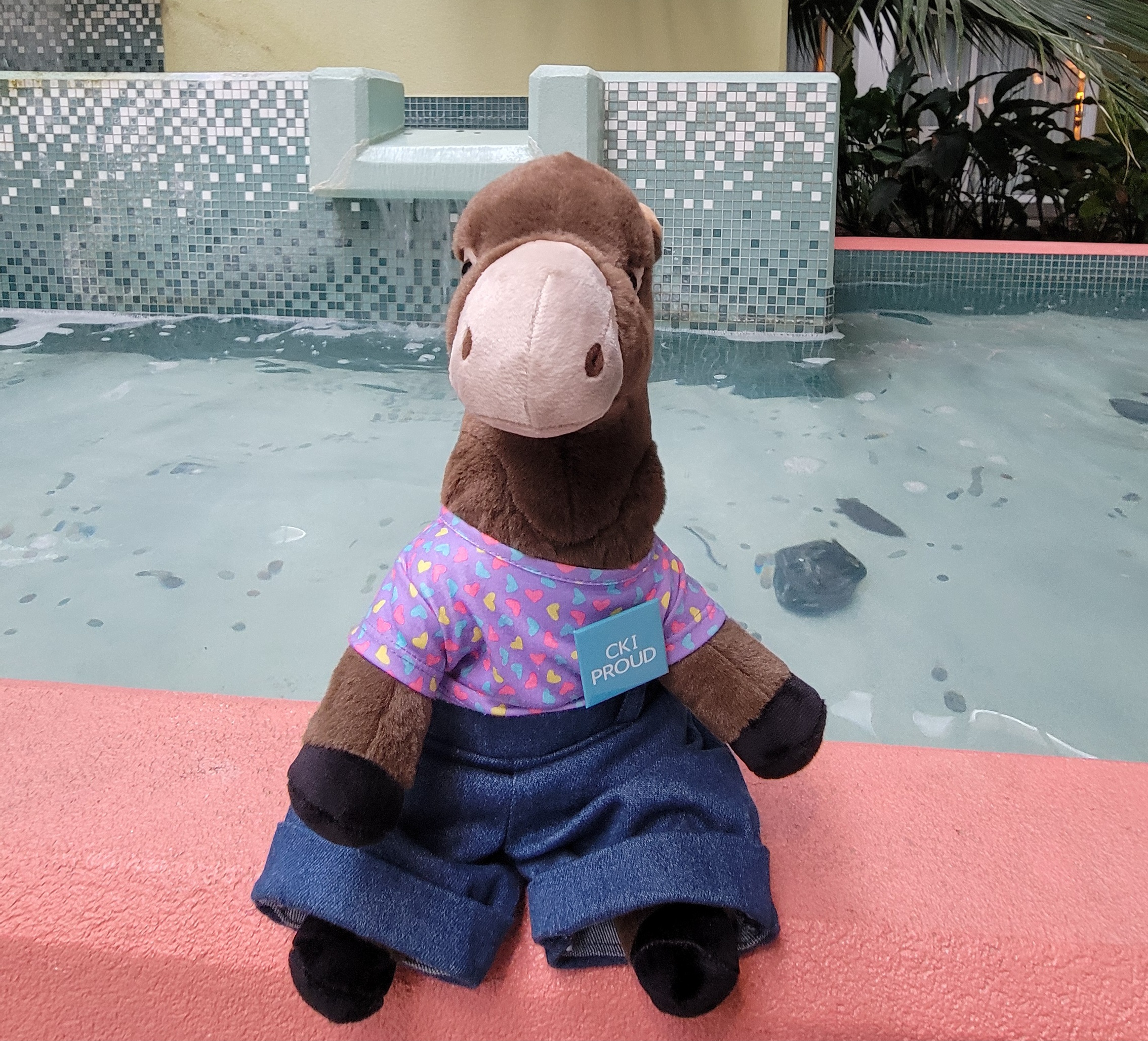 District Mascot